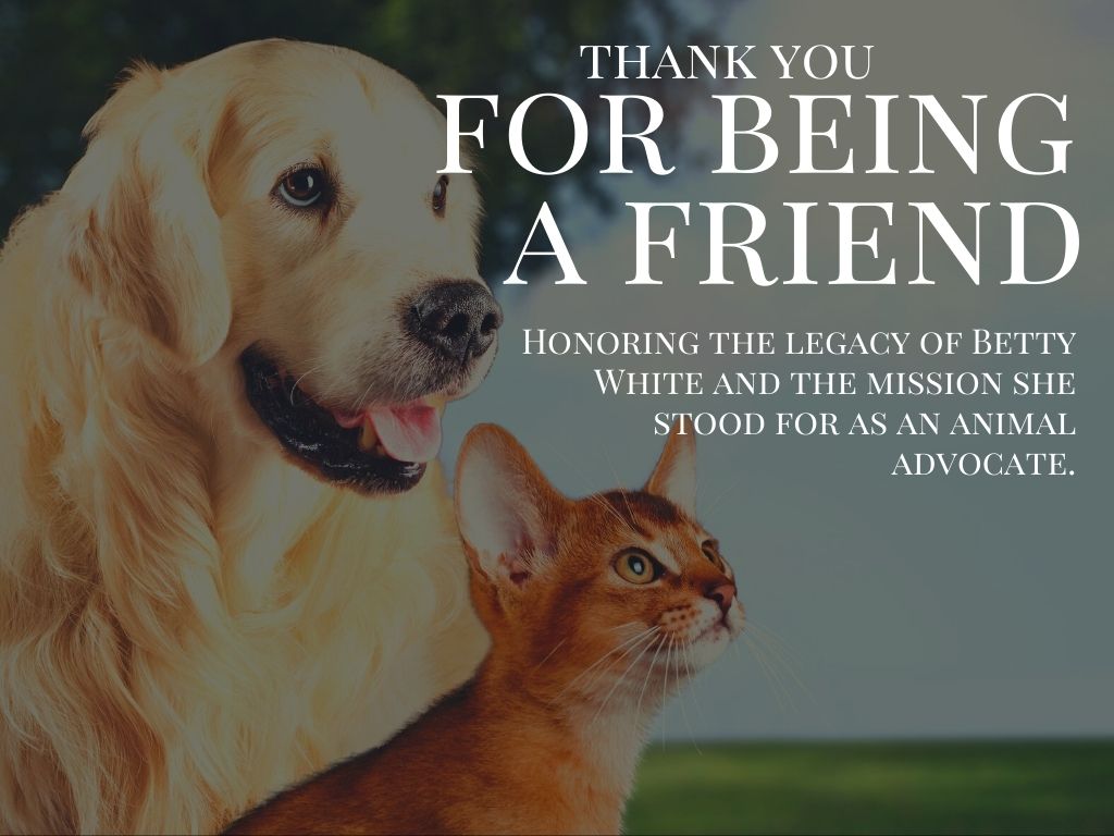 Thank You For Being A Friend | Pope Memorial Humane Society