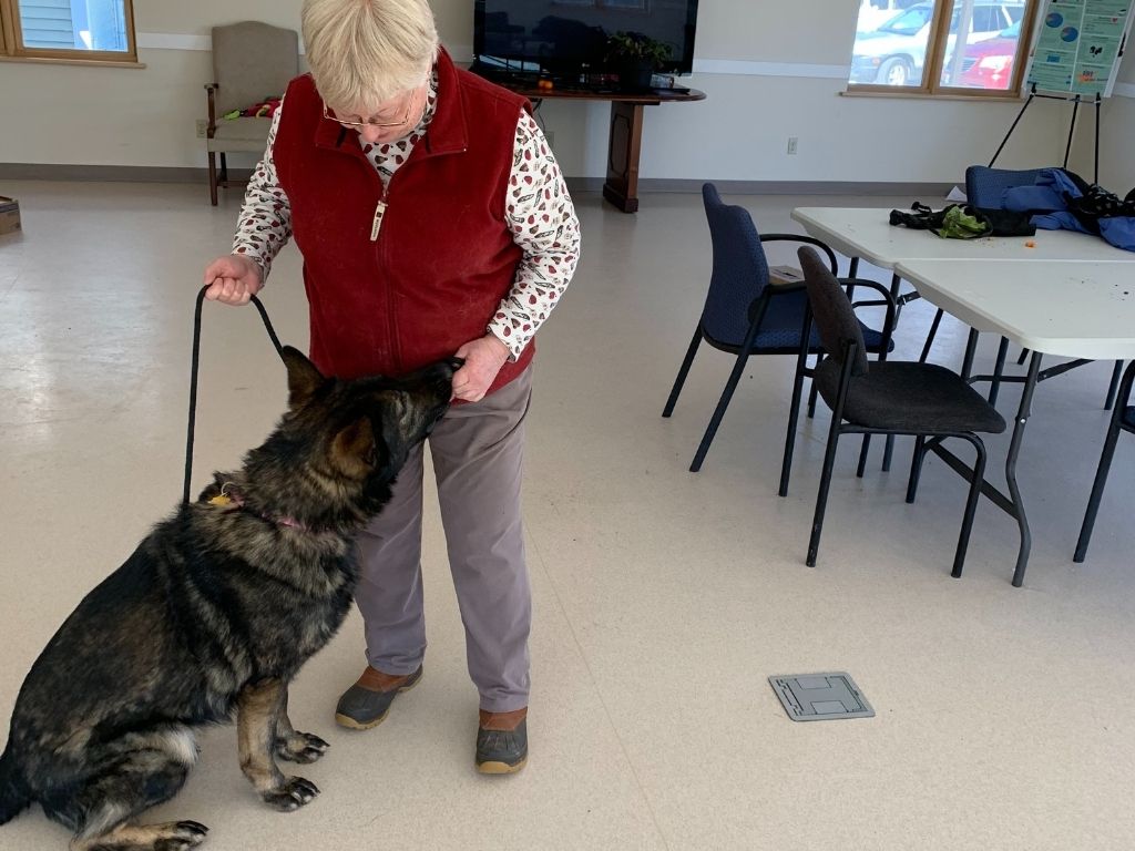 41 Pope Memorial Humane Society