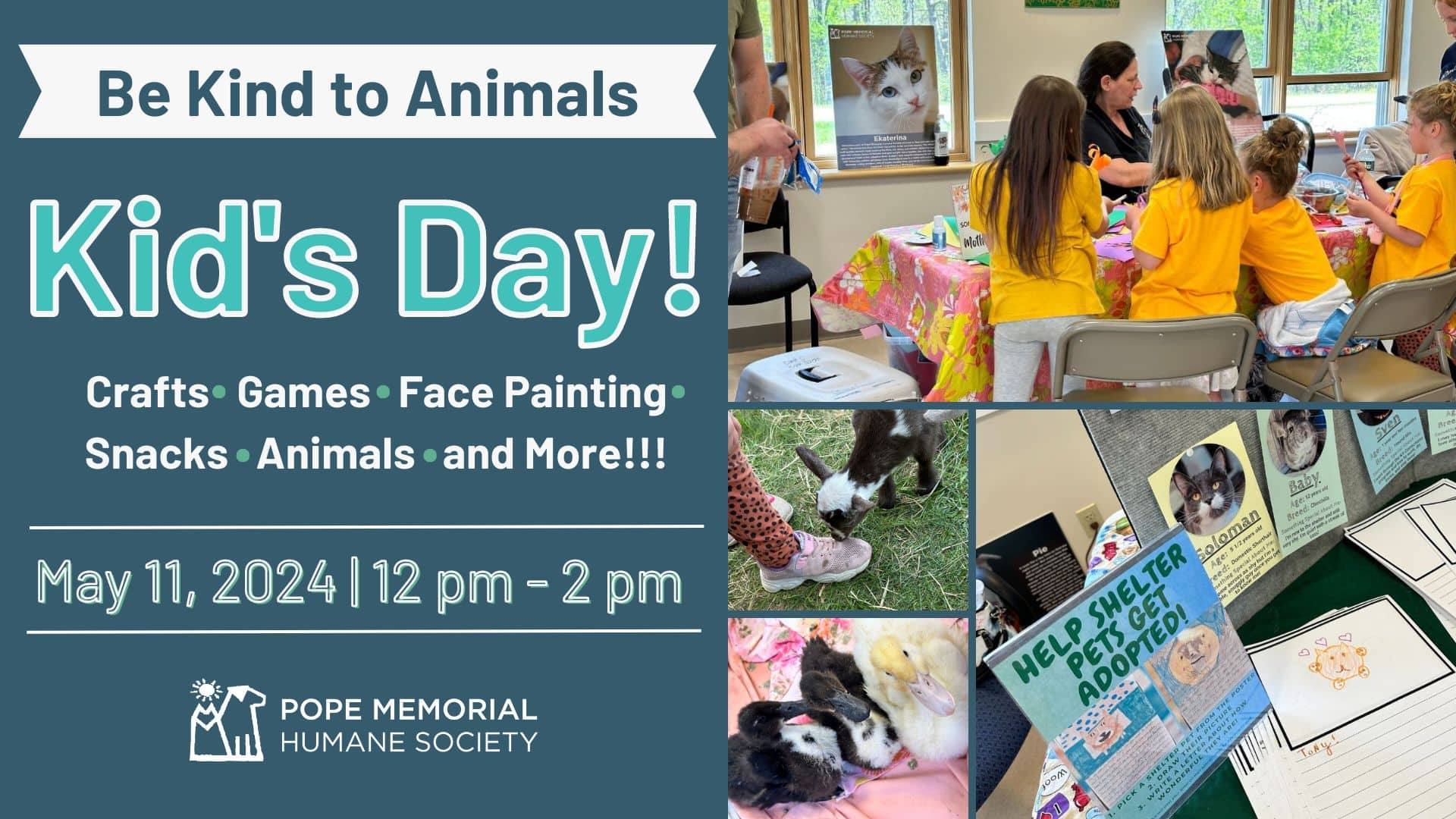 Be Kind to Animals – Kid’s Day at PMHS!