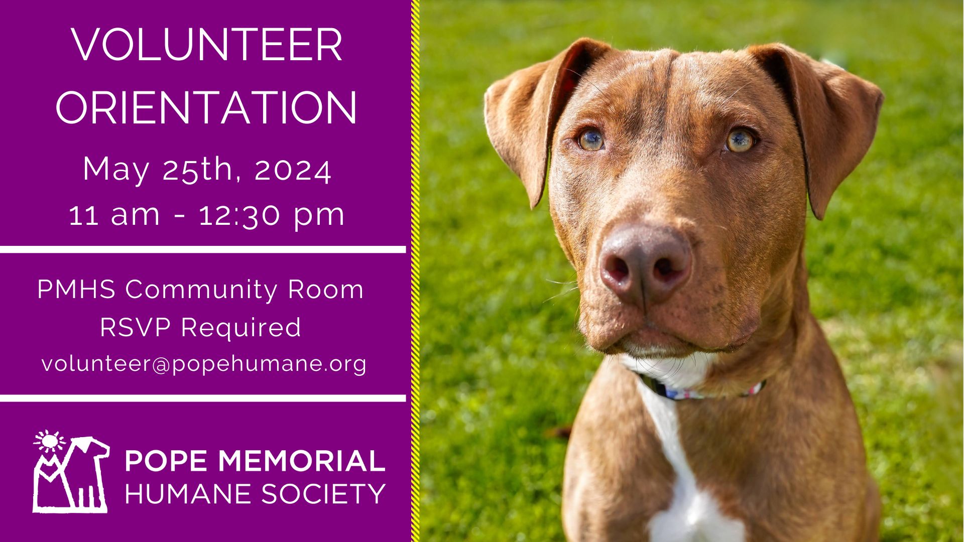 Volunteer Opportunities Await: May Orientation at Pope Memorial Humane Society