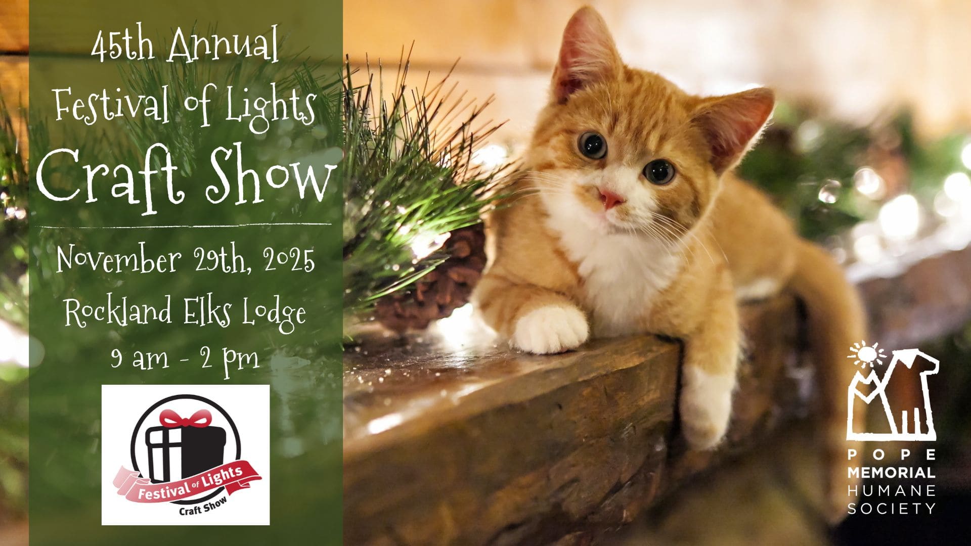 45th Annual Festival of Lights Craft Show