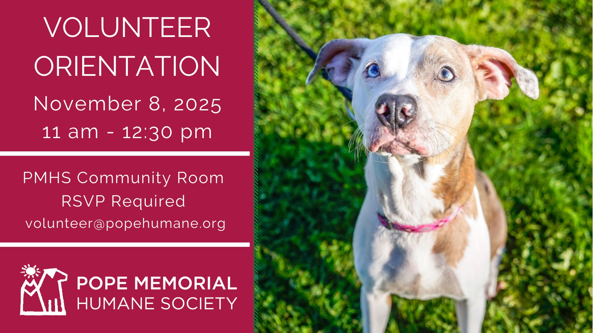 November Volunteer Orientation!